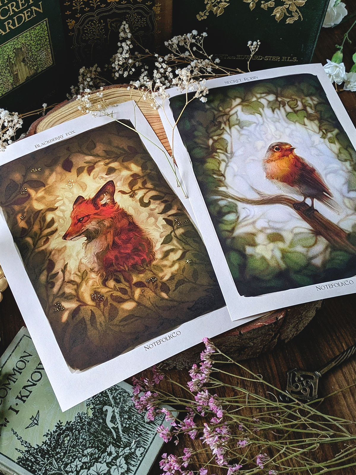 Garden Robin Fine Art Print