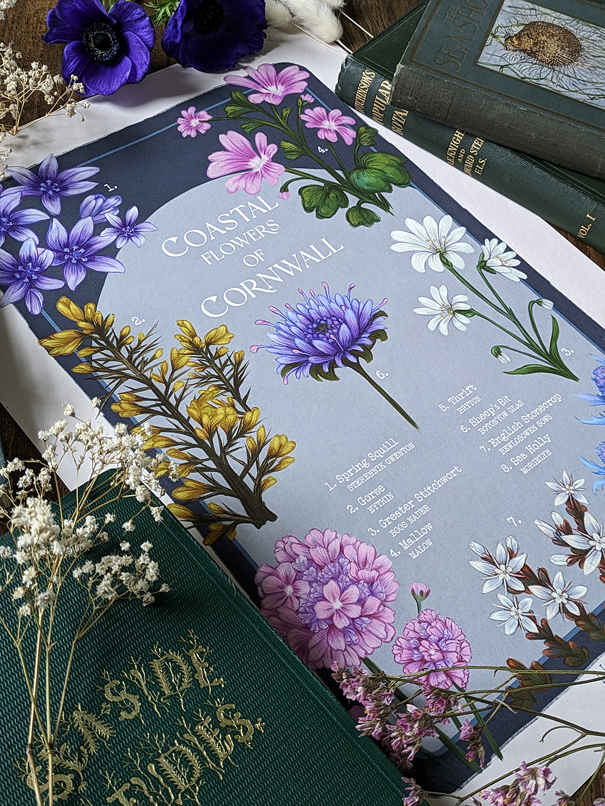 Coastal Flowers Of Cornwall Fine Art Print