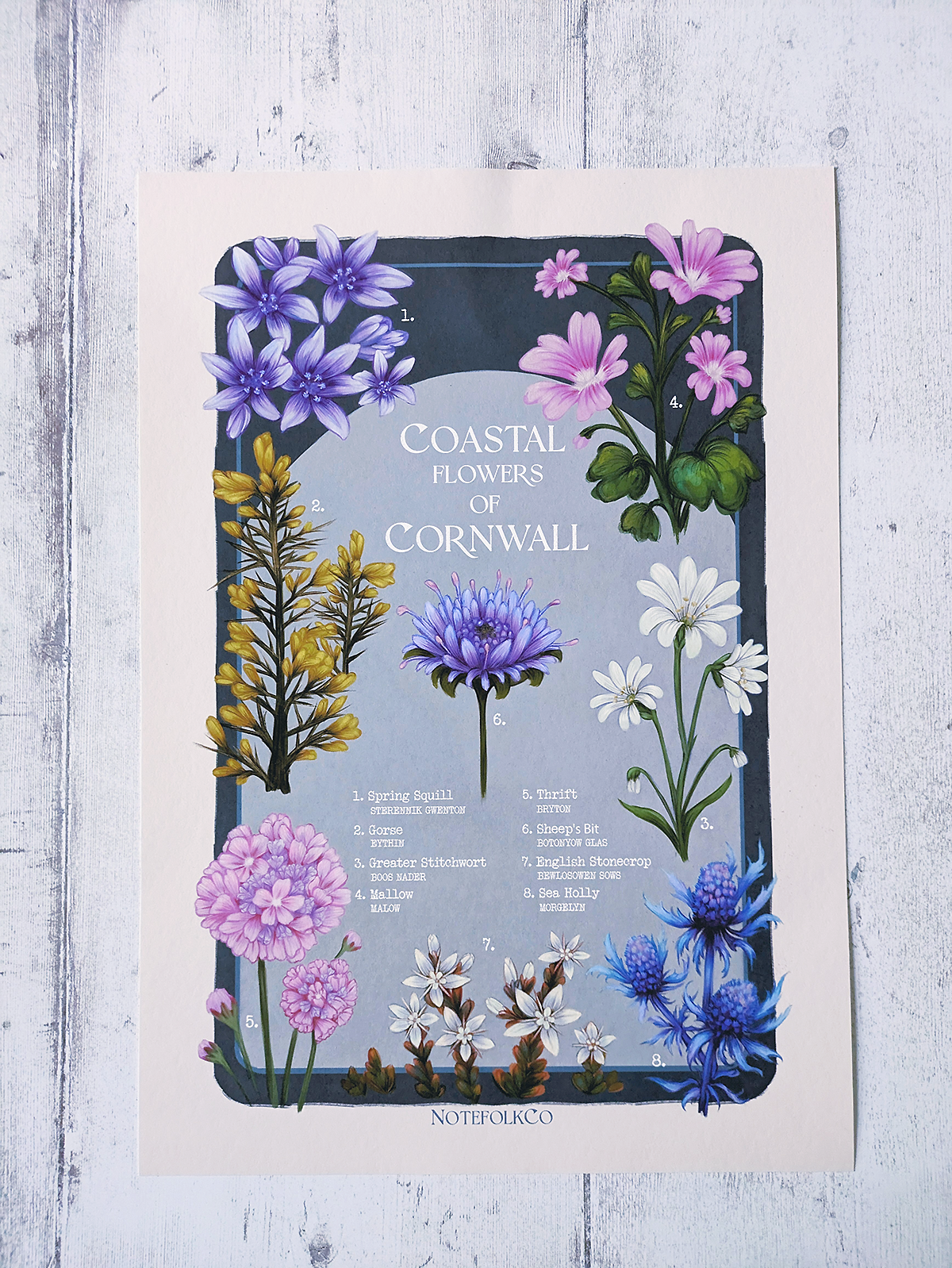 Coastal Flowers Of Cornwall Fine Art Print
