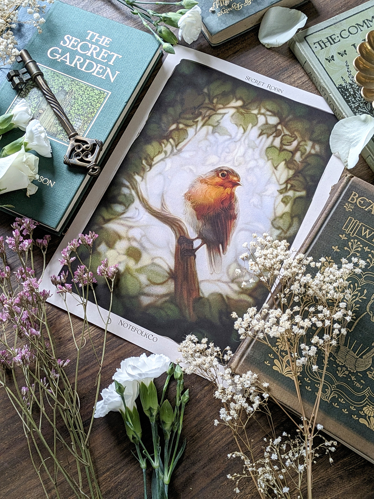 Garden Robin Fine Art Print