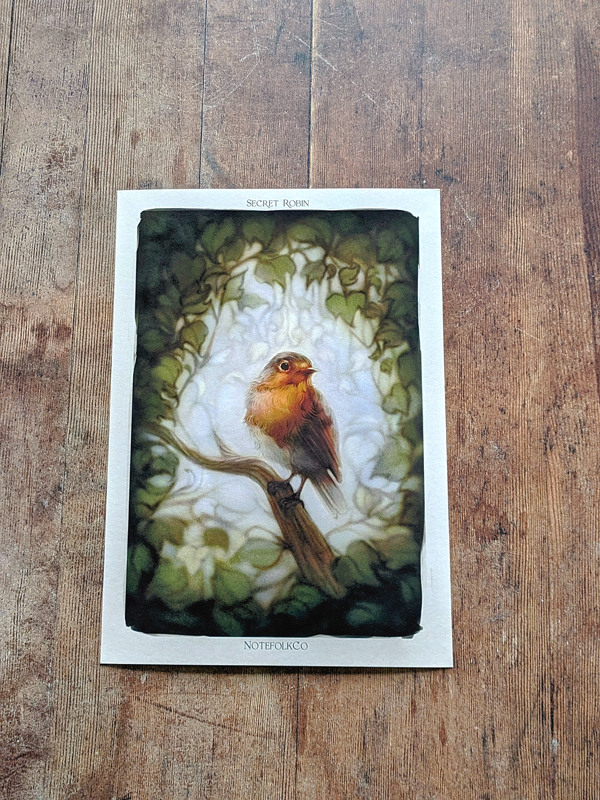 Garden Robin Fine Art Print