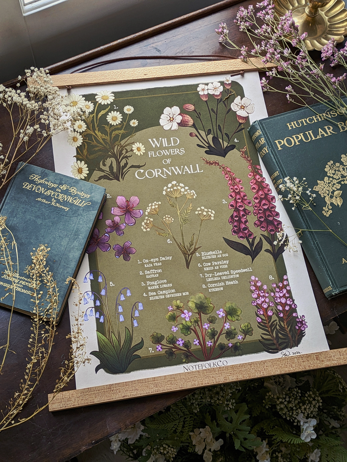 Wild Flowers Of Cornwall Fine Art Print