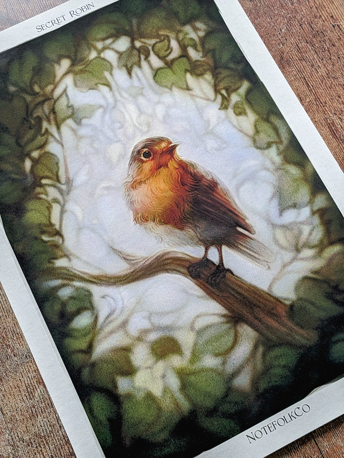 Garden Robin Fine Art Print