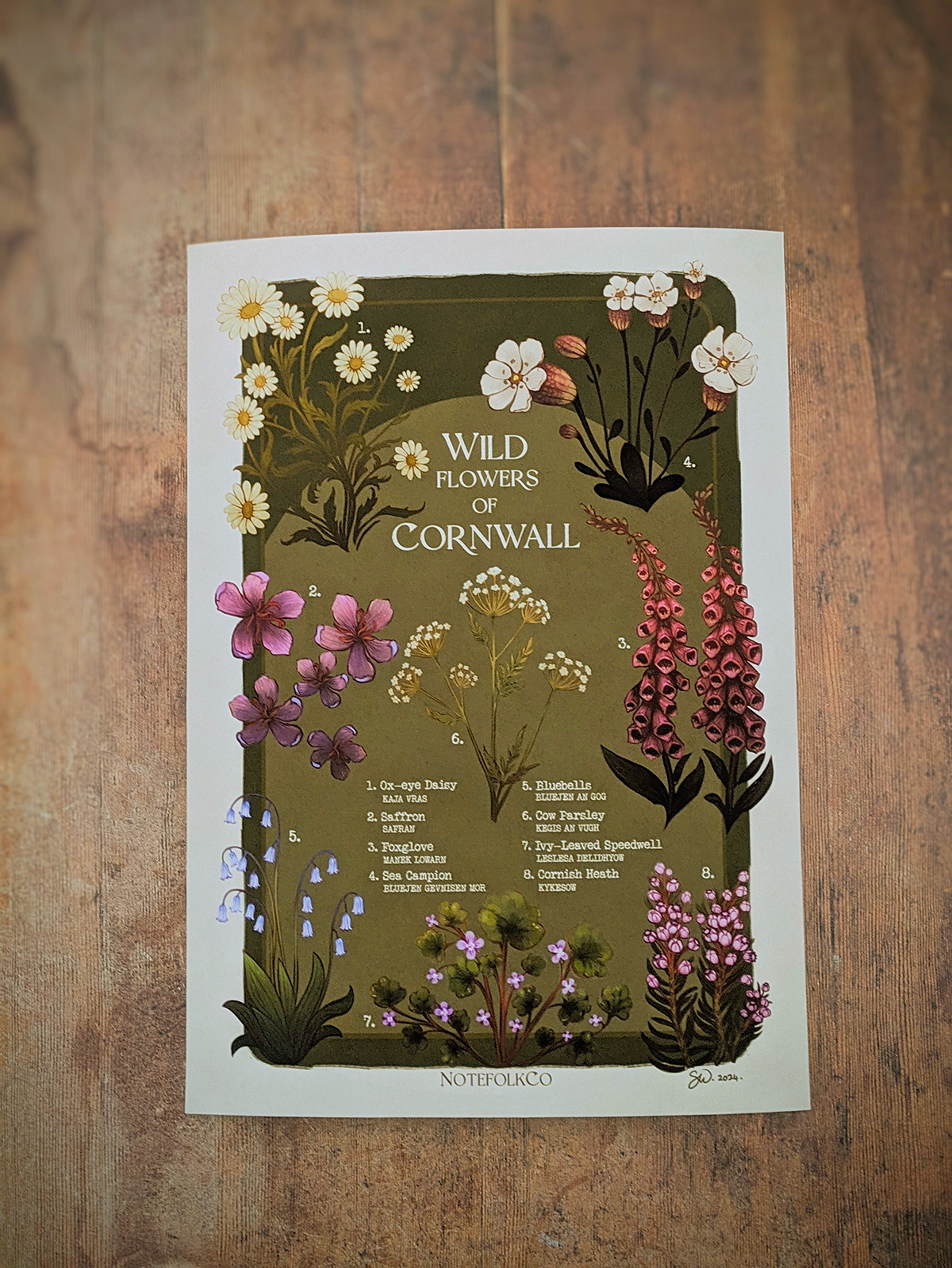 Wild Flowers Of Cornwall Fine Art Print